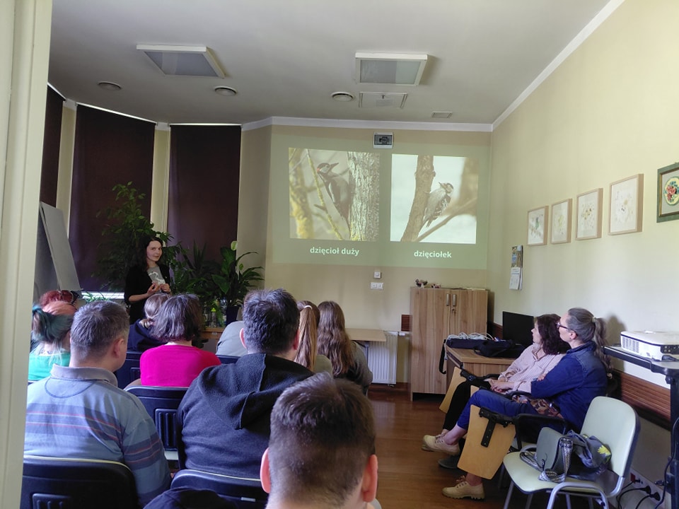 prezentacja o ptakach